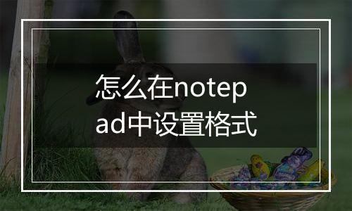 怎么在notepad中设置格式