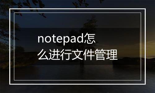 notepad怎么进行文件管理