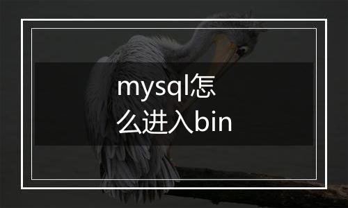 mysql怎么进入bin