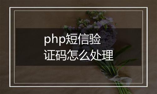 php短信验证码怎么处理