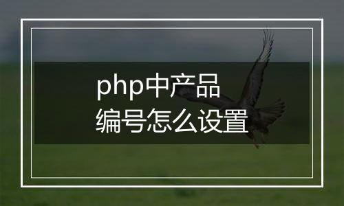 php中产品编号怎么设置