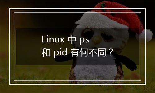 Linux 中 ps 和 pid 有何不同?