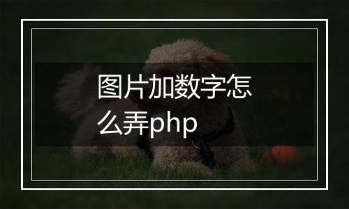 图片加数字怎么弄php