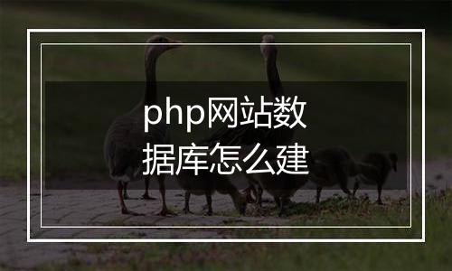 php网站数据库怎么建