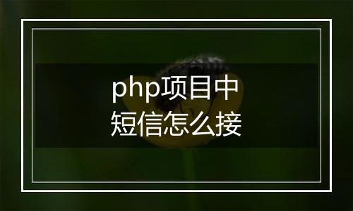 php项目中短信怎么接