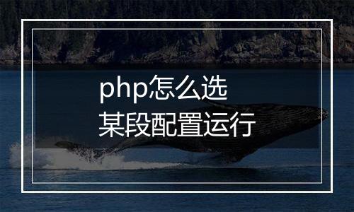 php怎么选某段配置运行