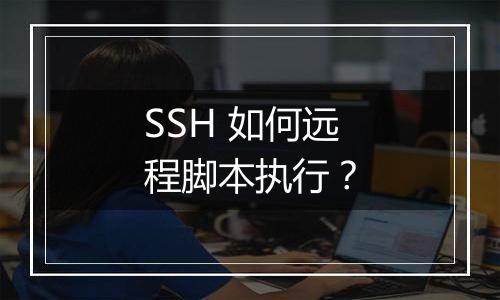 SSH 如何远程脚本执行？