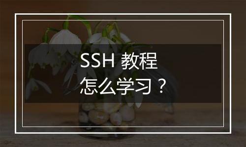 SSH 教程怎么学习？
