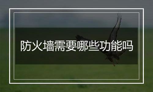 防火墙需要哪些功能吗