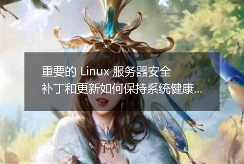 重要的 Linux 服务器安全补丁和更新如何保持系统健康?