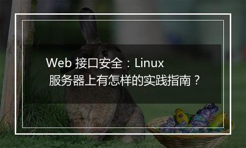 Web 接口安全:Linux 服务器上有怎样的实践指南?