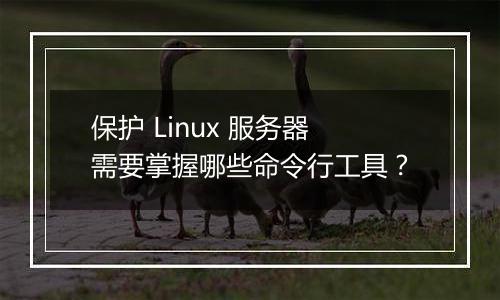 保护 Linux 服务器需要掌握哪些命令行工具？