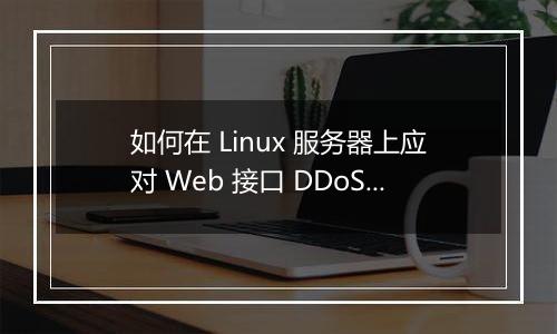 如何在 Linux 服务器上应对 Web 接口 DDoS 攻击？
