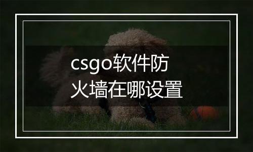 csgo软件防火墙在哪设置