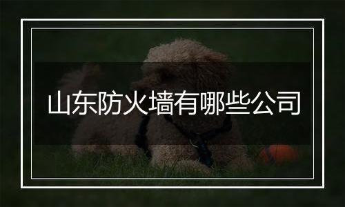 山东防火墙有哪些公司