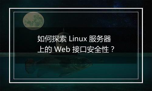 如何探索 Linux 服务器上的 Web 接口安全性？