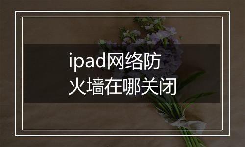 ipad网络防火墙在哪关闭