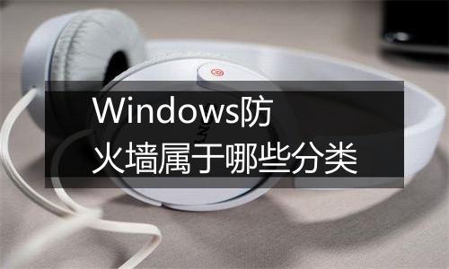 Windows防火墙属于哪些分类
