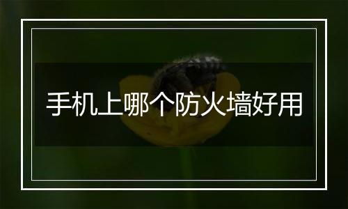 手机上哪个防火墙好用
