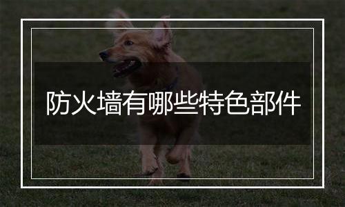 防火墙有哪些特色部件