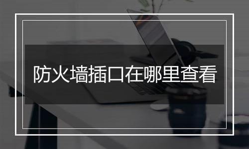 防火墙插口在哪里查看