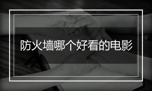 防火墙哪个好看的电影