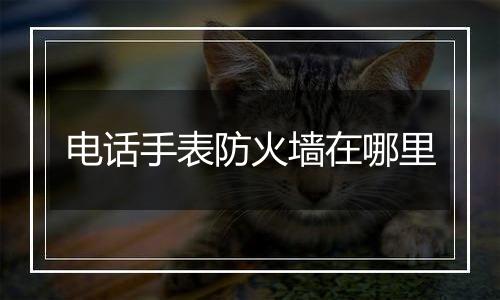 电话手表防火墙在哪里