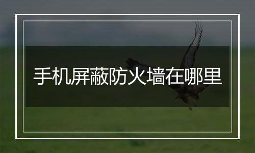 手机屏蔽防火墙在哪里