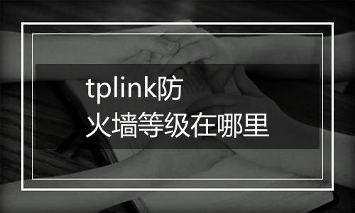 tplink防火墙等级在哪里