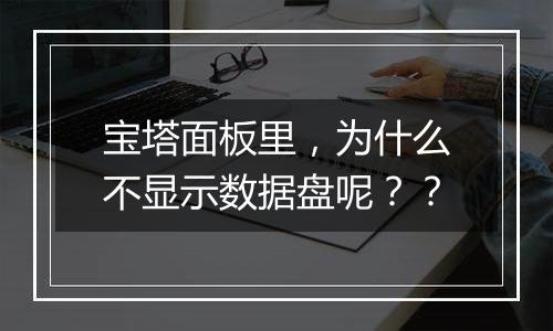 宝塔面板里,为什么不显示数据盘呢??