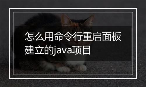 怎么用命令行重启面板建立的java项目