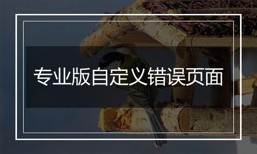 专业版自定义错误页面