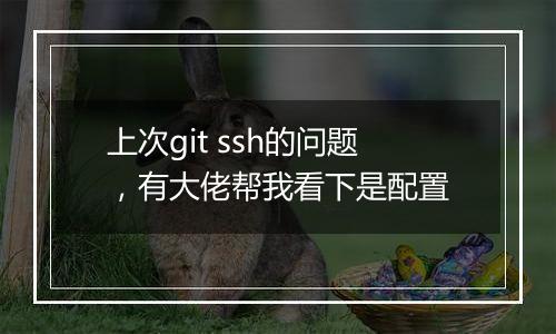上次git ssh的问题,有大佬帮我看下是配置