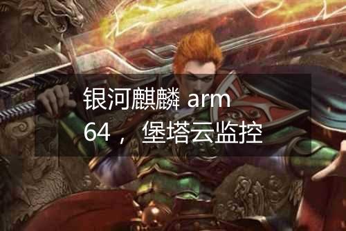 银河麒麟 arm 64， 堡塔云监控