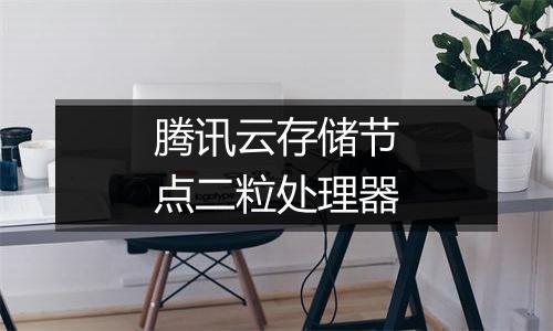 腾讯云存储节点二粒处理器
