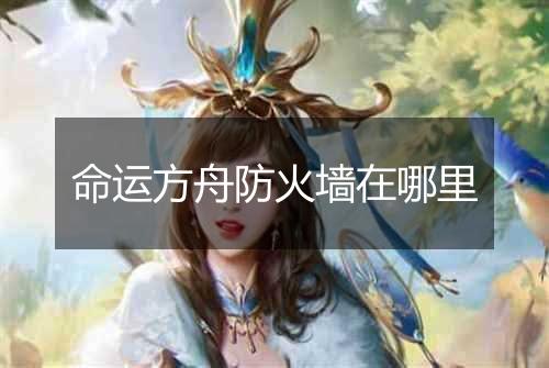 命运方舟防火墙在哪里