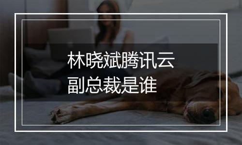 林晓斌腾讯云副总裁是谁