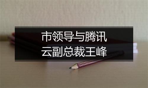 市领导与腾讯云副总裁王峰