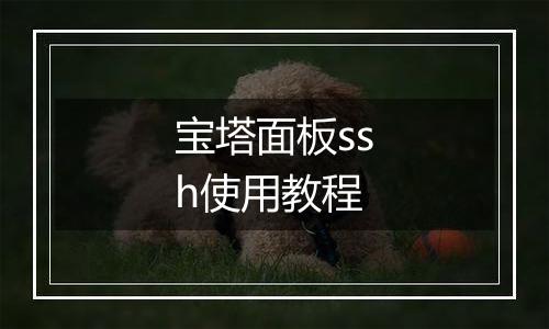 宝塔面板ssh使用教程