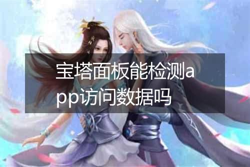 宝塔面板能检测app访问数据吗