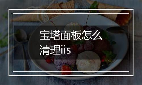 宝塔面板怎么清理iis