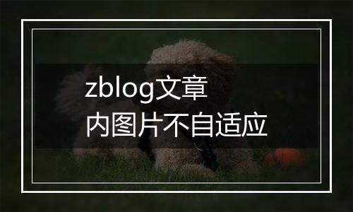 zblog文章内图片不自适应