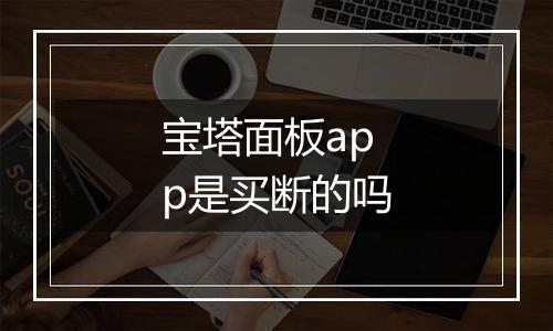 宝塔面板app是买断的吗