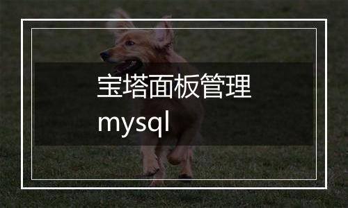 宝塔面板管理mysql
