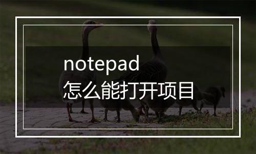 notepad怎么能打开项目