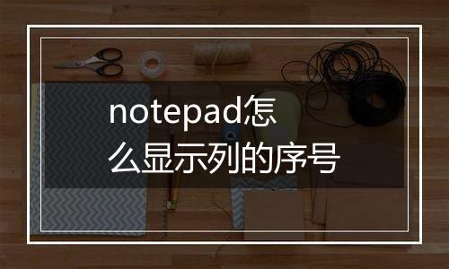 notepad怎么显示列的序号