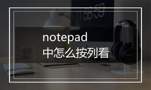notepad中怎么按列看
