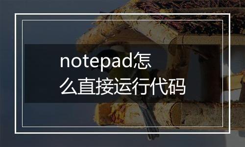 notepad怎么直接运行代码