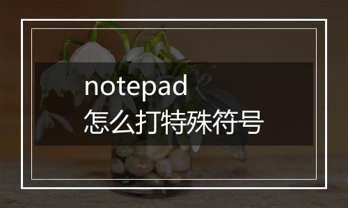 notepad怎么打特殊符号