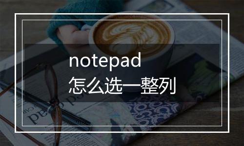 notepad怎么选一整列